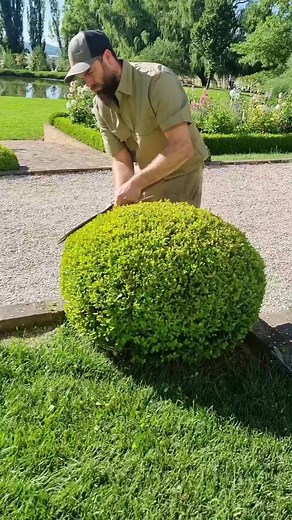 Art of Topiary: Creating Stunning Masterpieces