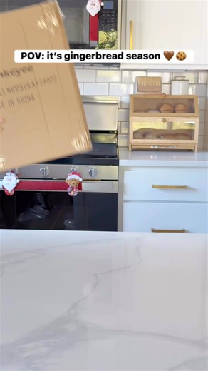 Fully LIVING our best gingerbread life with these amazon finds! Ornaments, decor, glassware… this Amazon haul has the sweetest (😜) holiday feels! #amazon #christmas #sweets #gingerbread | Everything Envy