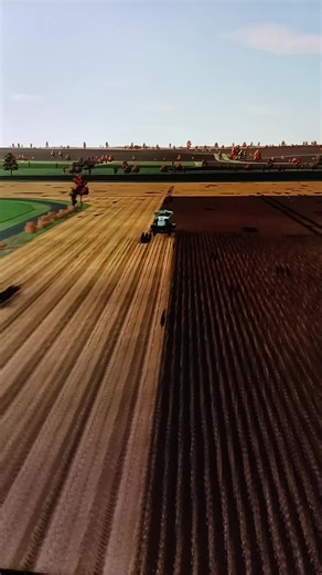 production de semence fermieres et dernier champs de lannee de tournesol en cours