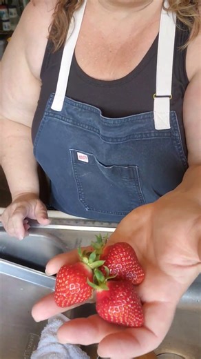 9.7K views · 278 reactions | Homestead living -Simple steps to...