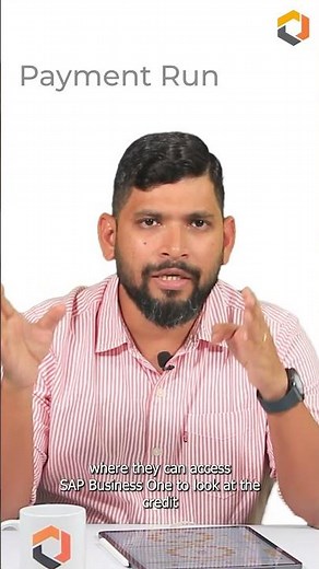 SAP B1 Banking Module Payment Run | Emerging Alliance