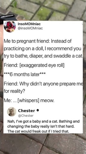 Why you should practice on a cat #usa