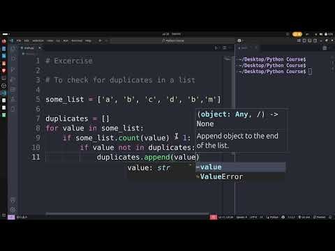 Exercise: Find Duplicate Values in Python | Beginner Python Practice**