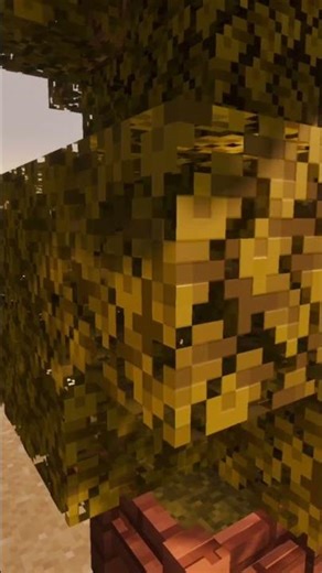 The Desert Base You NEED to Build! 🔥🌵