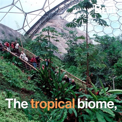 The Eden Project has been called the "eighth wonder of the world"
