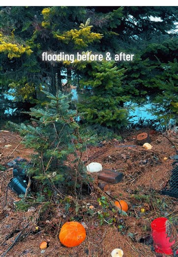 Effects of historic flooding at our family farm in Duvall, Washington #flood #DuvallWA #familyfarm #PNW #SnoqualmieValley