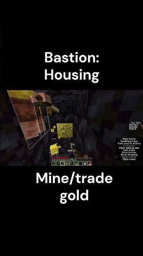 Minecraft Bastion Housing Top Down route #minecraft #speedruning