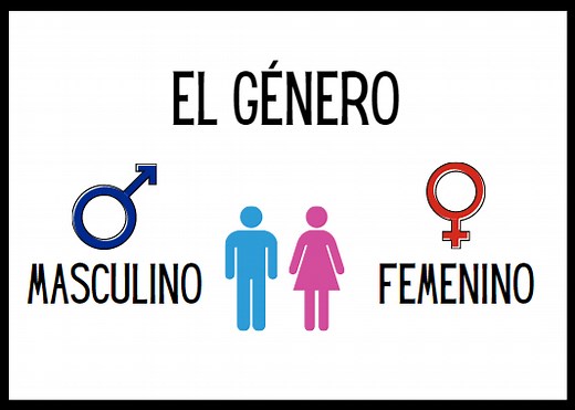 EL GÉNERO | Aprende Español | Excepciones Y Reglas | Arche-ELE