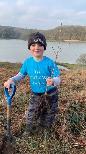 Planting native oaks on the bank of the Cleddau to create habitat and a buffer zone. We can make a difference! #thecleddauproject #westwalesrivertrust | The Cleddau Project
