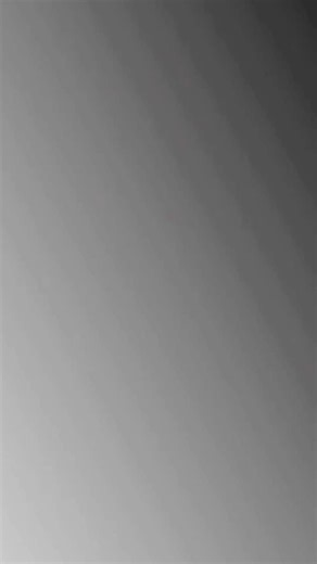 Explore riise: All You Need to Know About lb