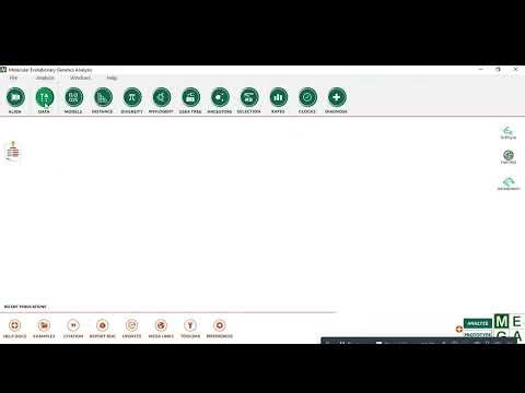 Construction of Phylogenetic Tree by Mega 12