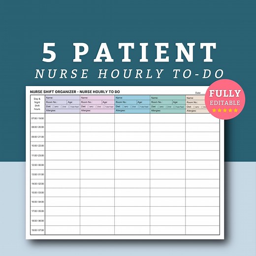 Nurse Hourly to Do, Nursing Charting, Shift Organizer, Nurse Shift Planner, Med Surg Nursing Charting, Long Term Care Report Sheet Organizer - Etsy