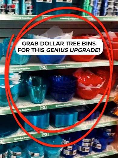 Turn a Dollar Store bin into this GENIUS idea! #DIY #dollartree #genius #storage #dollarstore #hacks #update #diyhacks #storageidea #ideas