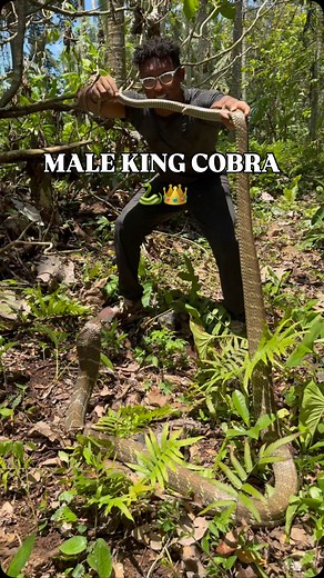 52K views · 4.2K reactions | Can you see all the mosquito bites I...