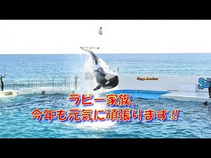 ラビー家族、今年も元気に頑張ります‼