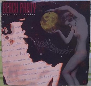 Beach Party - Night To Remember