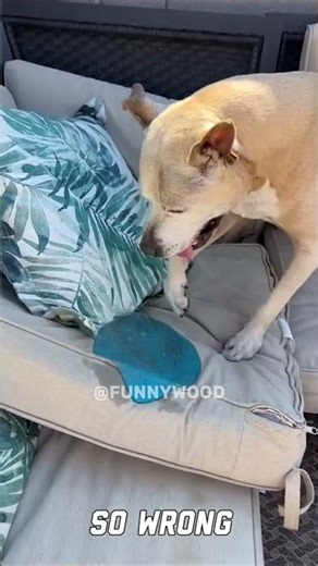 I Didn’t Expect That 😂 | Unexpected Funny Fails