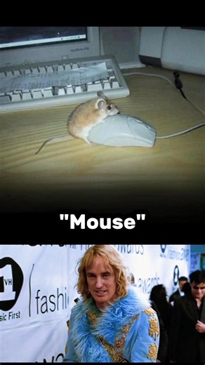Mouse vs "Mouse"