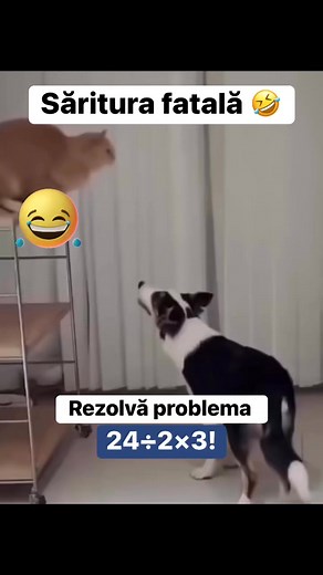 1.7M views · 2.1K reactions | Săritura fatală 藍 rezolvă problema dar ești atent la capcană ❤️ #fypシ゚ #funnyvideos #natiwords #math #fypジviralシ #comedy | Știi Câștigi | Facebook