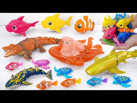 [🐋Toy asmr🐋] RC Shark & Crocodile & Nimo Fish & Turtle &Alive Aquarium ASMR Satisfying with Unboxing