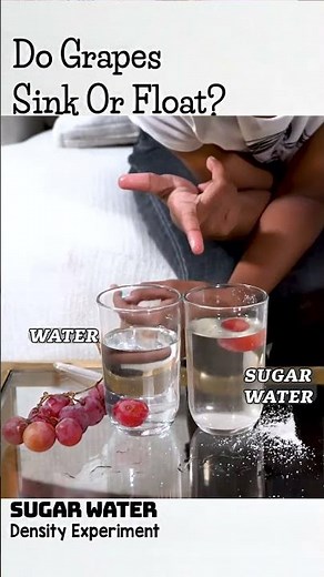 Do Grapes Sink Or Float ? 🤔🤔 Water Density Experiment For Kids | JJFuntime