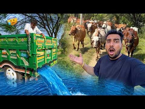 Papa Ne Desi Swimming Pool Khaali Kar Diya😭Sari Mehnat Barbaad?