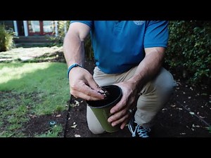 Landscape Maintenance Guide: Plant & Tree Care