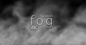 Fog