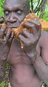 Hadzabe Tribe bush people truly know how to enjoy natural sweet honey they find in the forest as a traditional part of their bush diet in their unique lifestyle | Lovable Adventures
