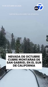 217K views · 2.9K reactions | Partes de las montañas de San Gabriel, en el sur de California, se cubrieron de nieve cerca del área de Wrightwood y Big Pines. Las imágenes captadas por Carter Mullen-Carey muestran la carretera Angeles Crest Highway cubierta de nieve, cerca de Throop Peak. Justo al norte de la cima, Mountain High Resort celebró su primera nevada de la temporada, más de un mes antes del inicio de la temporada de esquí. | ABC7 en Espanol | Facebook