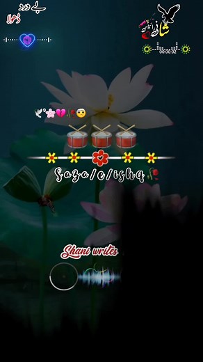 Captivating Lotus Flower and Dragonfly Animation