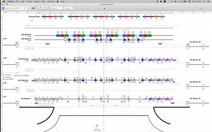 LXFree - Jorge Cañón