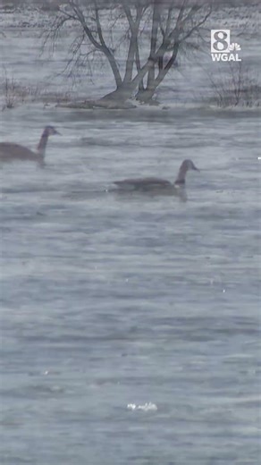 More than a third of Pennsylvania's streams are impaired, report says