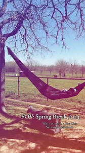 Hay Chix Large Bale 6’ Net = Hammock. ☀️ | Hay Chix