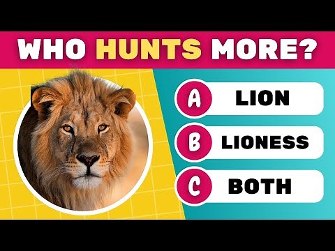 Animal Quiz Questions and Answers HARD