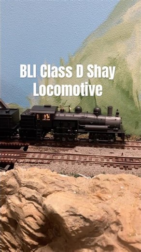 Ho Broadway Limited Imports Class D Shay locomotive hauling a timber train