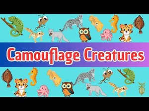 40 Amazing Camouflaged Animals for Kids | Learn How Animals Hide in Nature!