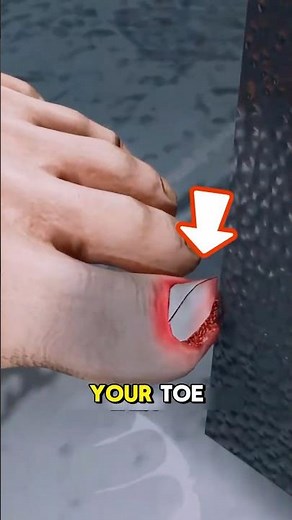 Why Does Stubbing Your Toe Hurt So Much?