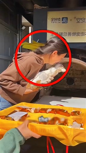 Heartbreaking Cat Funeral😭💔