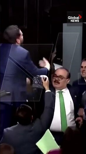 Brawl erupts between Mexico senators as legislative session ends