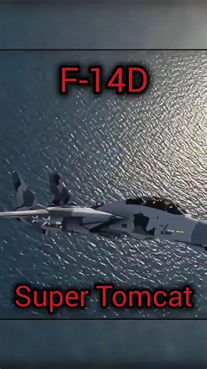 The Legendary Super Tomcat #mwt