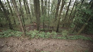 1.2K views · 30 reactions | E-Mountainbike-Tech on the highest level. The engineers and developers in Switzerland Jan Talavasek and Marco Sonderegger explain the details of the complex technology behind the Turbo Levo. | Specialized Bicycles | Facebook