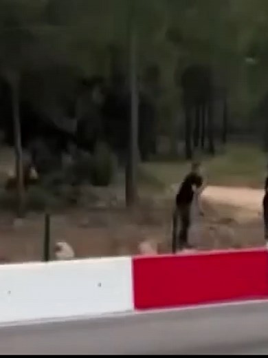 🔴Motodrag yarışlarında bariyerlere çarpan motosikletin sürücüsü yaralandı 📌Antalya’nın Kepez ilçesinde düzenlenen Motodrag yarışmalarında bariyerlere çarpan motosikletin sürücüsü yaralanırken, kaza anı cep telefonu kamerasına saniye saniye yansıdı #haber #gündem #tiktokhaber #tiktokgündem