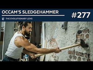 Occam’s Sledgehammer: The 277th Evolutionary Lens with Bret Weinstein and Heather Heying