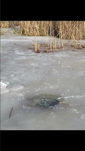 "Underwater Explosion Shockwave Caught on Film! 😱💣🌊"
