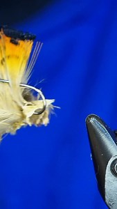 Another Peccary fly? YES! Hook: Ahrex FW501 size 14 Thread: TheFlySmith 12/0 traditional Tail and legs: Natures spirit pheasant Body: Peccary (link in bio) Dubbing: Fulling mill tactical microflash Resin: uv craft Tools: TheFlySmith #TheFlySmith #flytying #fly #flytyingjunkie #flytyingtutorial | The Fly Smith