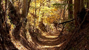 Grant will fund better bridges on Natchez Trace hiking trail