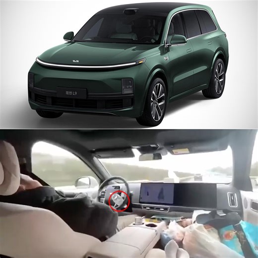 Passenger Films Driver Allegedly Sleeping While Li Auto L9 Electric SUV Drives Itself on Highway