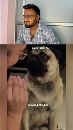 Abhi google kar ta hu🤣#dogfamily #funnypeopel #cutekids #cutekid #cutey #monkeyisland #monkey