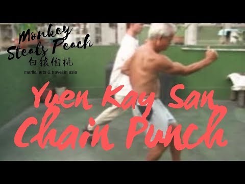 Yuen Kay San style Wing Chun basic punching